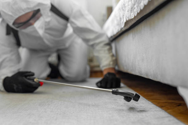 Professional Ant Control technician working in Lone Tree, IA
