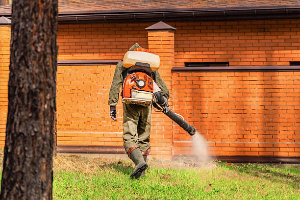 Trusted Cockroach Control service in Lone Tree, IA - Nex Pest Control